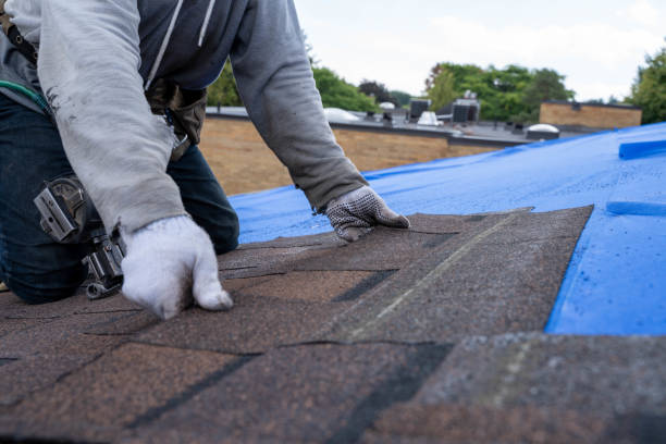 Best Roof Maintenance Services  in Yates Center, KS
